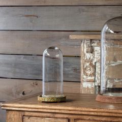 Glass Dome On Aged Metal Base Green 18 Inch