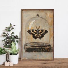 Glass Moth III By Petals Prints Design Wall Decor