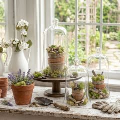 Gleaming Glass Bell Cloche Set of 3