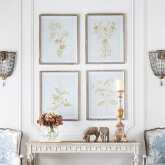 Gold Accent Framed Sepia Botanical Print Set of 4