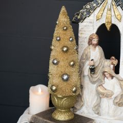 Gold Bottlebrush Potted Tree