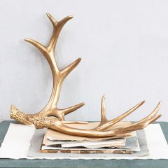 Gold Finish Antler Tabletop Decor