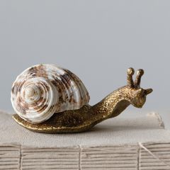 Gold Finished Decorative Snail Set of 2