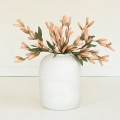 Graceful Leaf Clusters Branch Stem