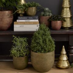 Green Ceramic Pigment Pot