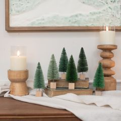 Green Hues 6 Inch Bottlebrush Tree Boxed Set of 6