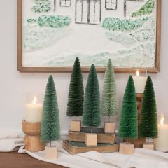 Green Hues Bottlebrush Tree Boxed Set of 6