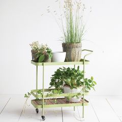 Green Metal Indoor/Outdoor Bar Cart