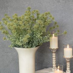 Green Onion Bush Spray