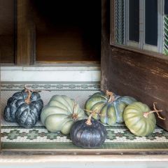Green Pumpkin Collection Set of 5