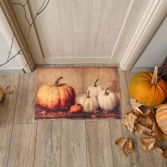 Group of Pumpkins Still Life Doormat
