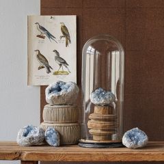 Hand Blown Glass Cloche on Round Wooden Base