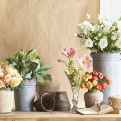 Handled Galvanized Metal Bucket