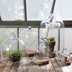 Handled Glass Dome