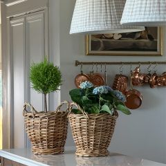 Handled Rattan Planter Basket