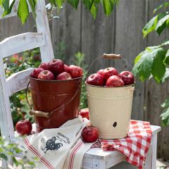 Handled Rustic Enamel Bucket