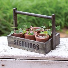 Handled Seedlings Caddy With Terra Cotta Pots