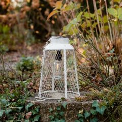 Hanging Cage Solar Light
