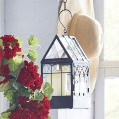 Hanging Display Terrarium