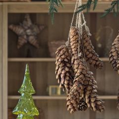 Hanging Pinecone Cluster