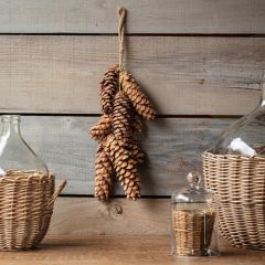Hanging Pinecone Cluster