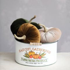 Harvest Gatherings Metal Bucket With Handle