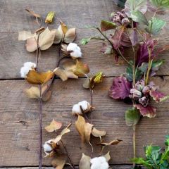 25 Inch Harvest Season Cotton Stem Bundle 