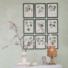 Hobnail Framed Pear Print Set of 9