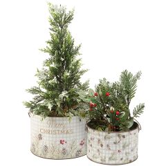 Holiday Greens Metal Bucket Set of 2