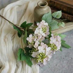 Lace Cap Pink Hydrangea Stem Set of 2