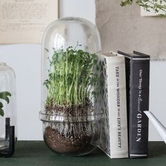 Large Egg Shape Glass Terrarium