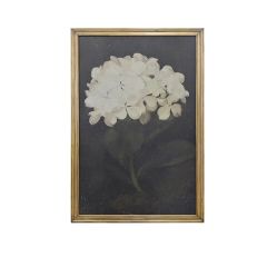 LARGE Framed Hydrangea Wall Art
