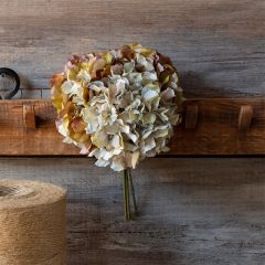 Late Season Green/Blue Hydrangea Bundle Set of 2