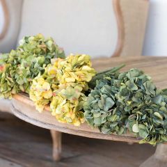 Late Season Hydrangeas Set of 3