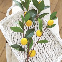 Lemon Branch Spray Set of 3
