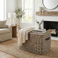 Lidded Storage Basket Trunk