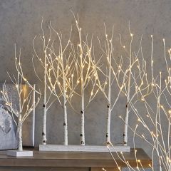 Lighted Birch Grove