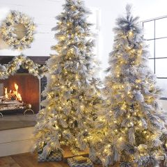 Lighted Flocked Pine Tree