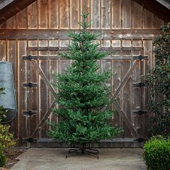 Lighted Noble Fir Christmas Tree