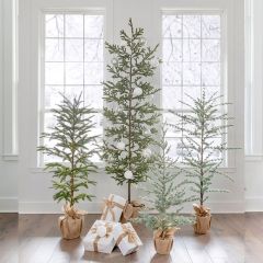 Woodland Tree in Burlap Bag