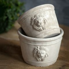 Lion Head Cement Planter Set of 2