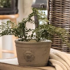 Lion Head Cement Planter Set of 2