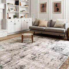 Loloi II Alchemy Collection Silver/Graphite Area Rug