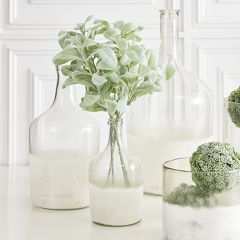 Long Neck Glass Bottle Vase Collection Set of 3