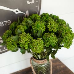 Long Stem Sedum Spray