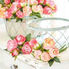 Lovely Peony Bundle Set of 2