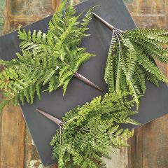 Lush Lifelike Fern Plants Set of 3
