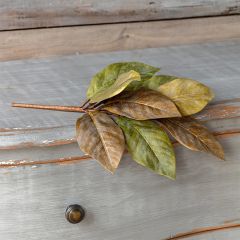Magnolia Leaf Pick