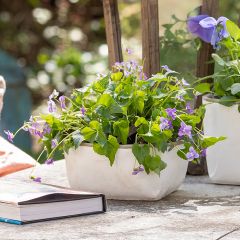 Matte Finish Two Tone Cement Planter 4 Inch