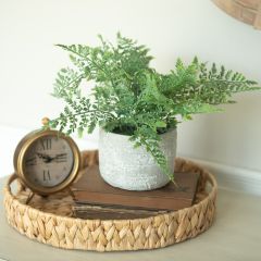 Mini Faux Fern in Ceramic Pot